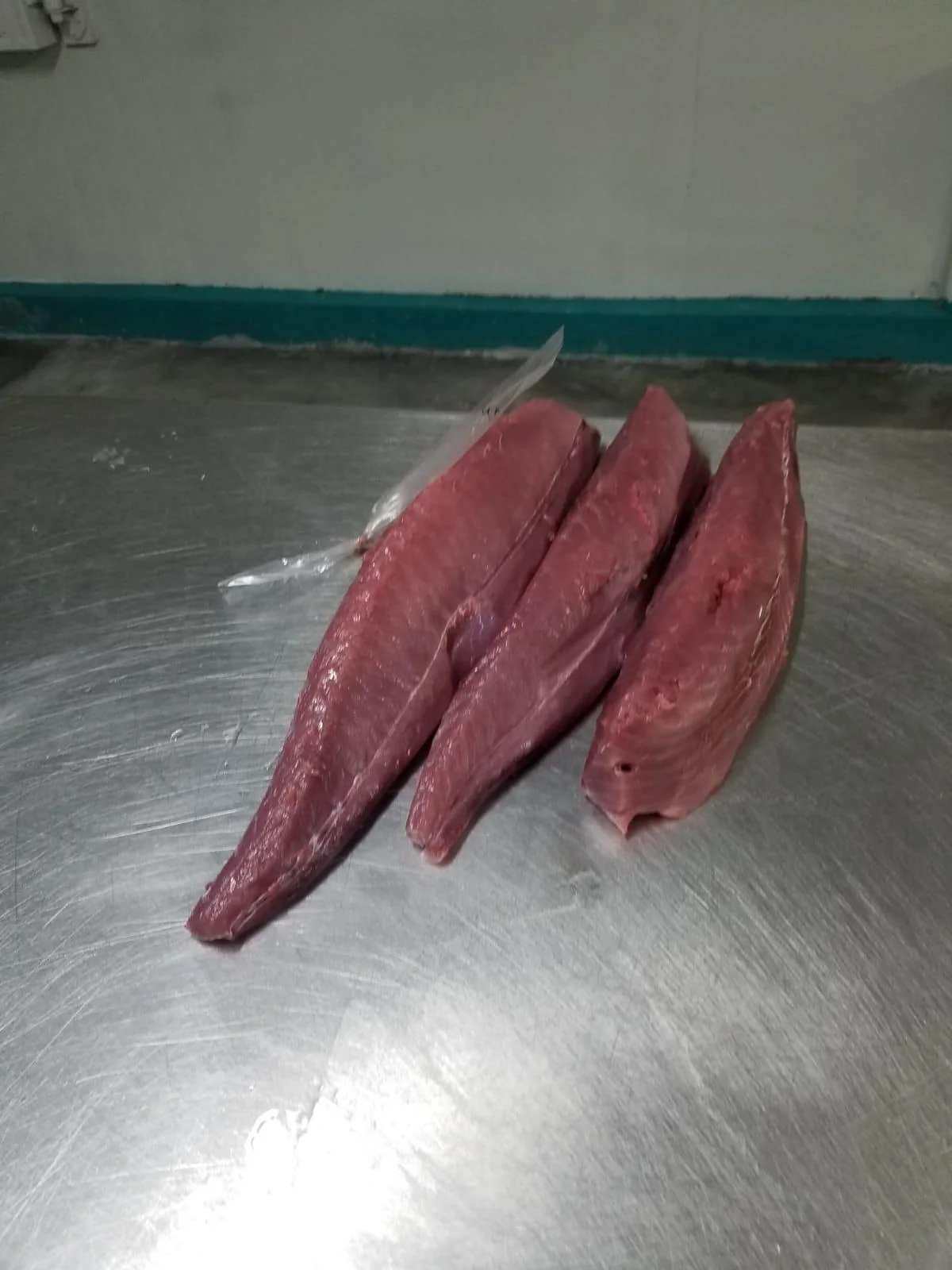 Tuna processing in factory